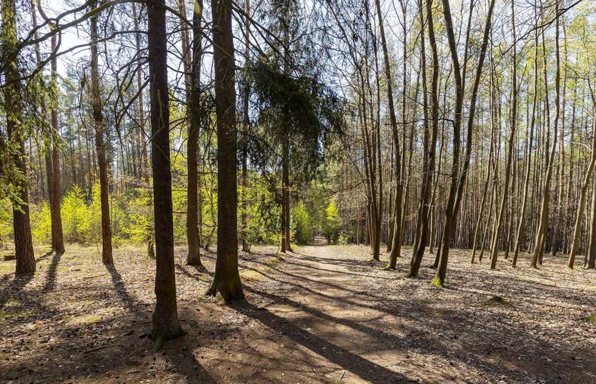 Laskara Garden Apartment By Prague Forest Nové Jirny Екстериор снимка